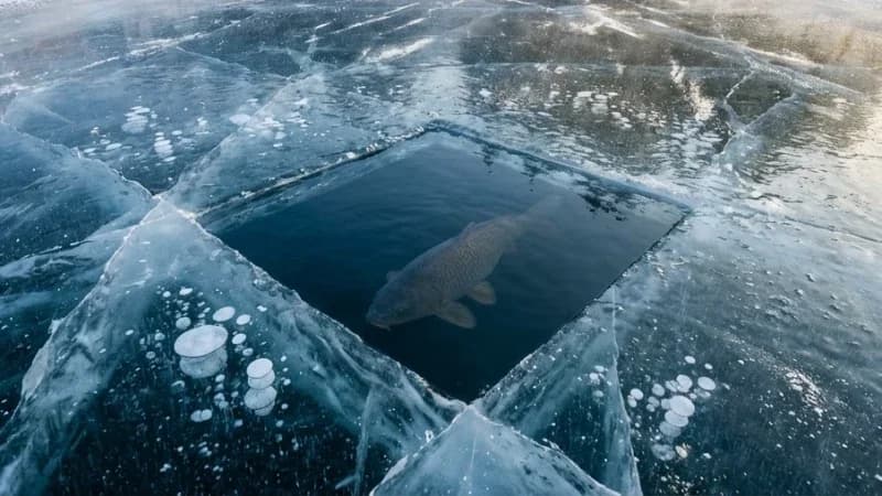 Зимовальные ямы Хабаровского края: где зимует рыба
